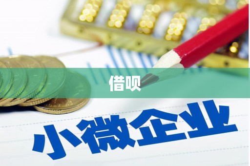 沂源借呗