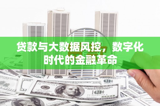 沂源贷款与大数据风控，数字化时代的金融革命