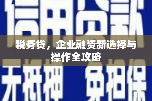 沂源税务贷，企业融资新选择与操作全攻略