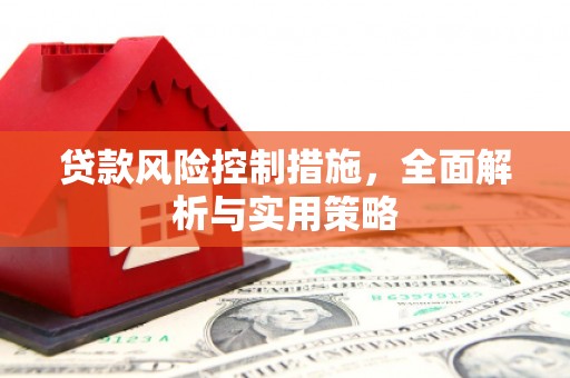 沂源贷款风险控制措施，全面解析与实用策略
