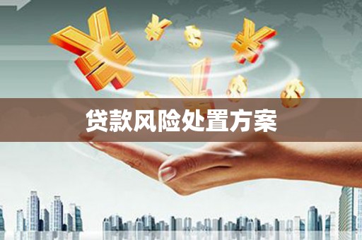 沂源贷款风险处置方案