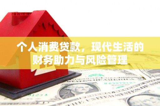 沂源个人消费贷款，现代生活的财务助力与风险管理