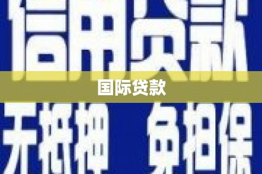 沂源国际贷款