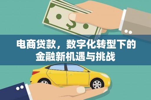 沂源电商贷款，数字化转型下的金融新机遇与挑战