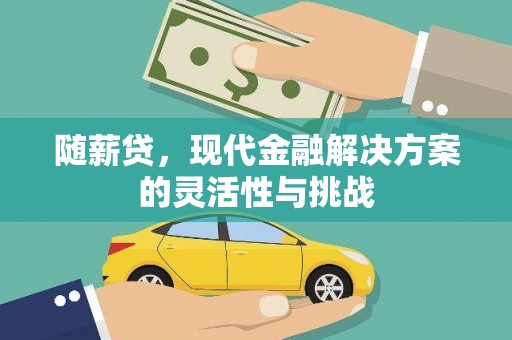 沂源随薪贷，现代金融解决方案的灵活性与挑战
