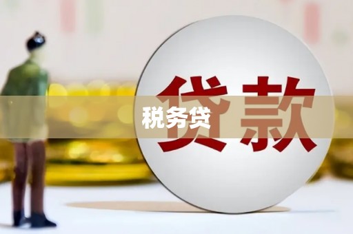 沂源税务贷