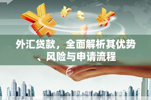 沂源外汇贷款，全面解析其优势、风险与申请流程
