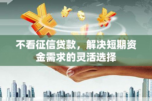 沂源不看征信贷款，解决短期资金需求的灵活选择