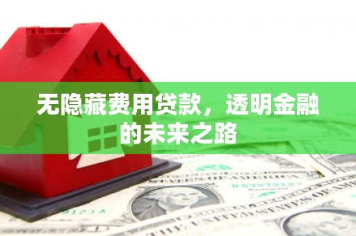 沂源无隐藏费用贷款，透明金融的未来之路