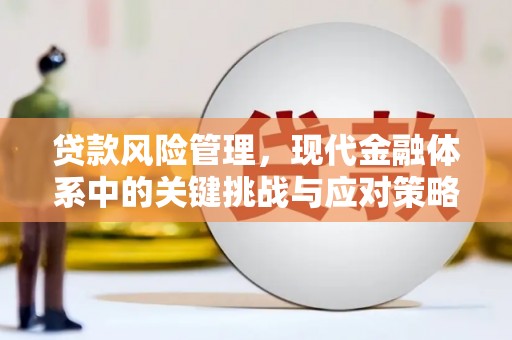 沂源贷款风险管理，现代金融体系中的关键挑战与应对策略