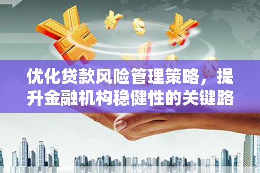 沂源优化贷款风险管理策略，提升金融机构稳健性的关键路径