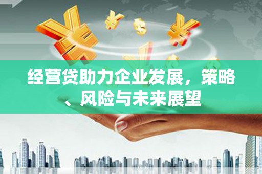 沂源经营贷助力企业发展，策略、风险与未来展望