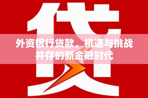 沂源外资银行贷款，机遇与挑战并存的新金融时代