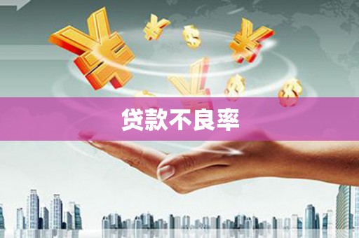沂源贷款不良率