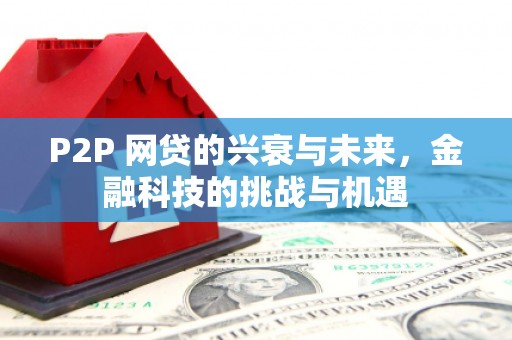 沂源P2P 网贷的兴衰与未来，金融科技的挑战与机遇