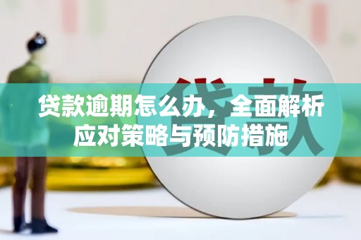 沂源贷款逾期怎么办，全面解析应对策略与预防措施