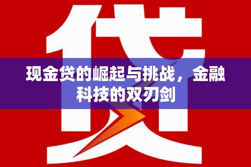 沂源现金贷的崛起与挑战，金融科技的双刃剑
