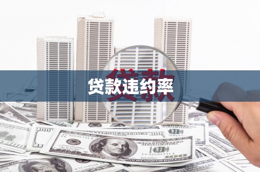 沂源贷款违约率