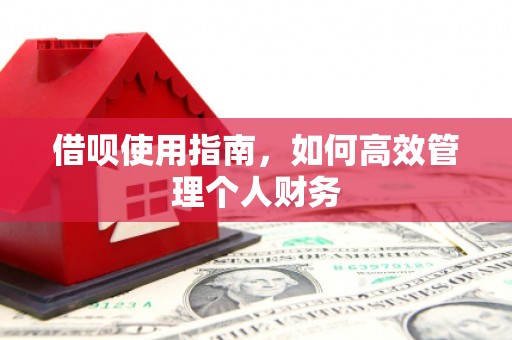 沂源借呗使用指南，如何高效管理个人财务