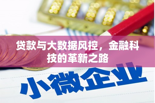 沂源贷款与大数据风控，金融科技的革新之路