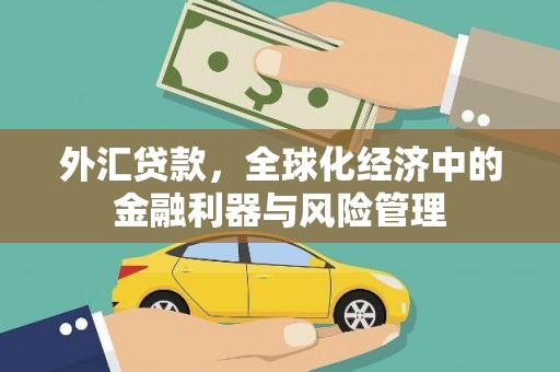 沂源外汇贷款，全球化经济中的金融利器与风险管理