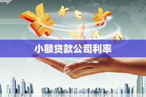 沂源小额贷款公司利率