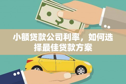 沂源小额贷款公司利率，如何选择最佳贷款方案