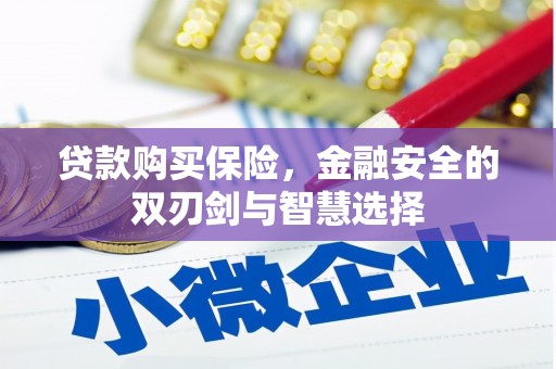 沂源贷款购买保险，金融安全的双刃剑与智慧选择