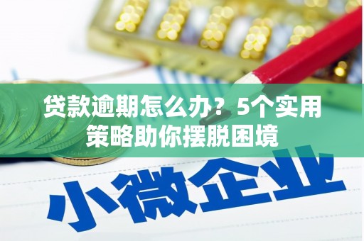 沂源贷款逾期怎么办？5个实用策略助你摆脱困境