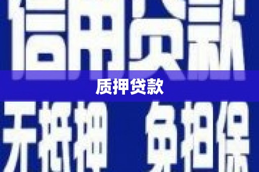 沂源质押贷款