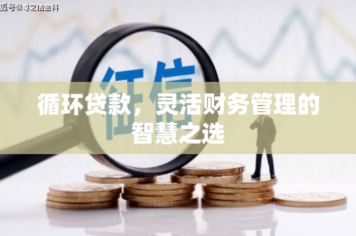 沂源循环贷款，灵活财务管理的智慧之选