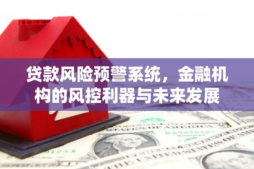 沂源贷款风险预警系统，金融机构的风控利器与未来发展