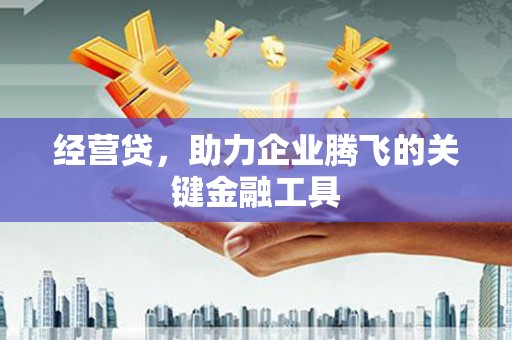 沂源经营贷，助力企业腾飞的关键金融工具