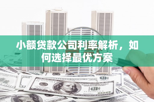 沂源小额贷款公司利率解析，如何选择最优方案