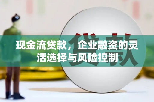 沂源现金流贷款，企业融资的灵活选择与风险控制