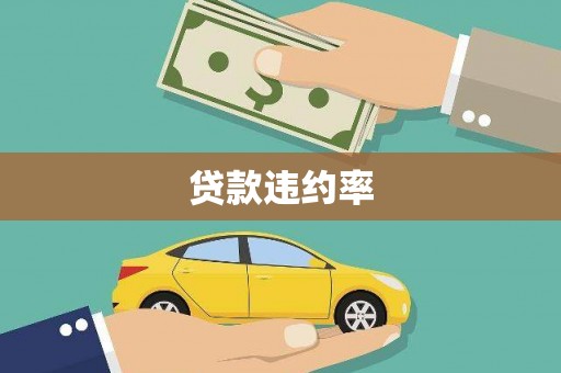 沂源贷款违约率