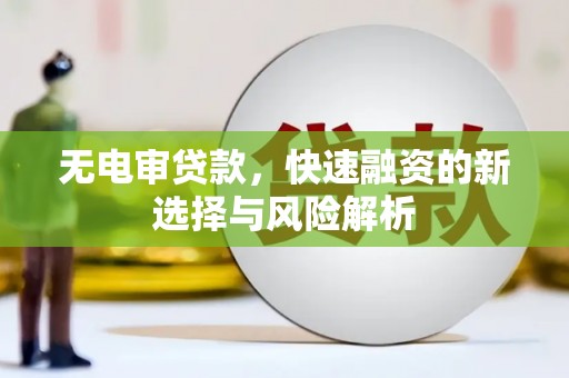 沂源无电审贷款，快速融资的新选择与风险解析