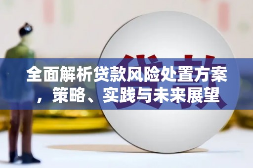 沂源全面解析贷款风险处置方案，策略、实践与未来展望