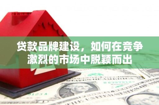 沂源贷款品牌建设，如何在竞争激烈的市场中脱颖而出