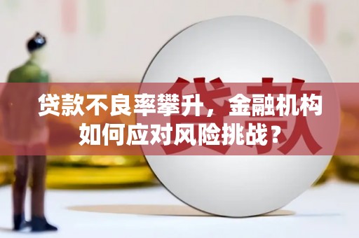 沂源贷款不良率攀升，金融机构如何应对风险挑战？