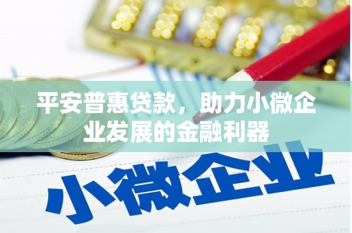 沂源平安普惠贷款，助力小微企业发展的金融利器