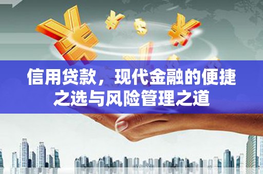沂源信用贷款，现代金融的便捷之选与风险管理之道