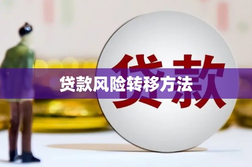 沂源贷款风险转移方法