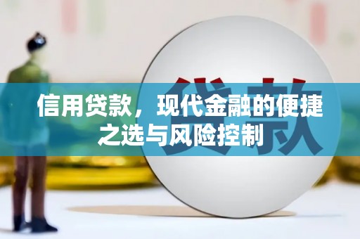沂源信用贷款，现代金融的便捷之选与风险控制