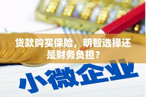 沂源贷款购买保险，明智选择还是财务负担？