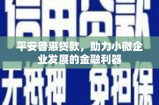沂源平安普惠贷款，助力小微企业发展的金融利器
