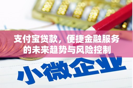 沂源支付宝贷款，便捷金融服务的未来趋势与风险控制