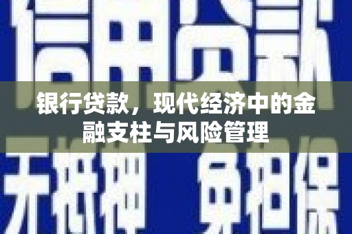 沂源银行贷款，现代经济中的金融支柱与风险管理