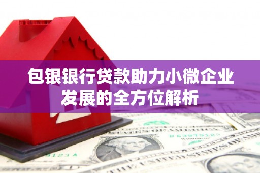 沂源包银银行贷款助力小微企业发展的全方位解析