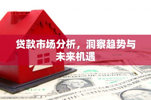 沂源贷款市场分析，洞察趋势与未来机遇